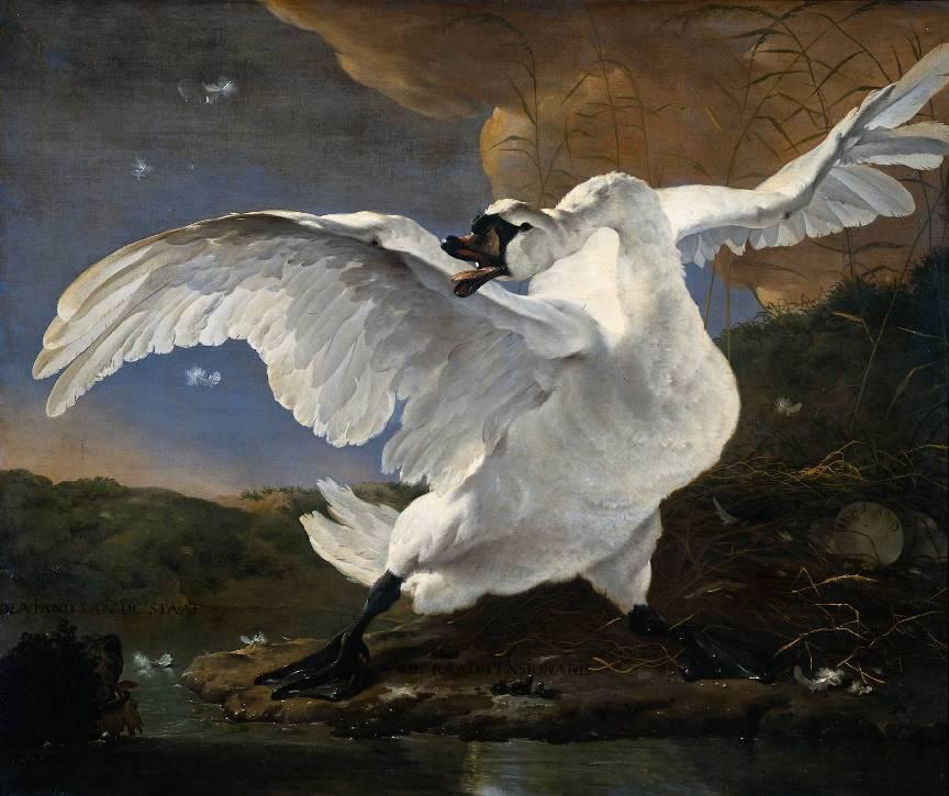 Unknown Artist Jan Asselijn The Threatened Swan